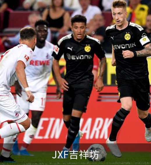 企业介绍